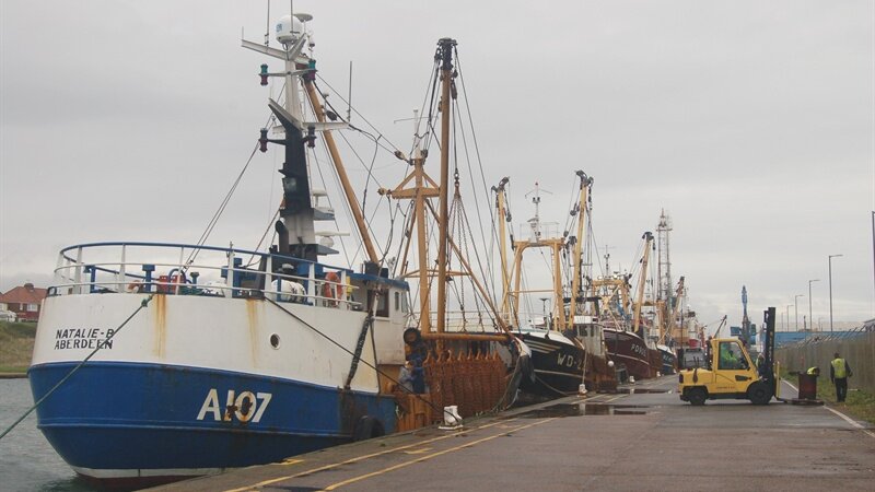 Fishermen take refuge in port
