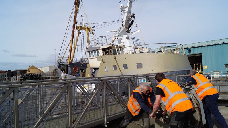 Port searches for local talent