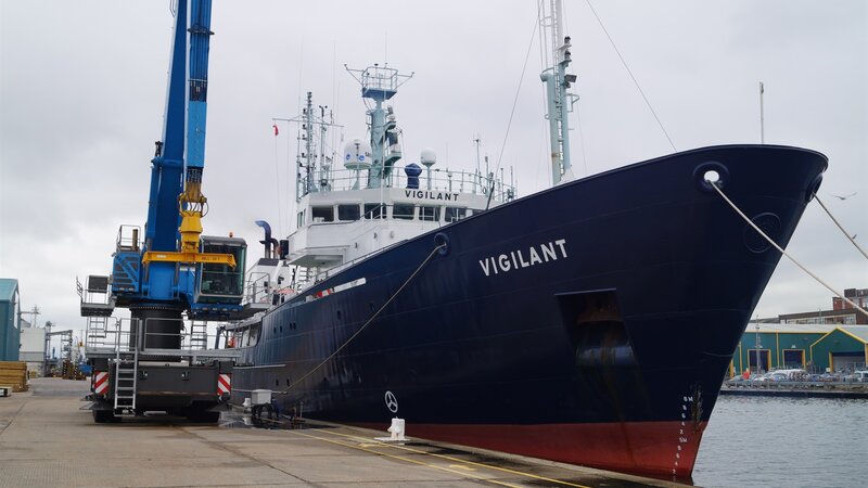New vessels add variety to port