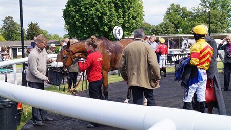 Celebrating success with Shoreham Port customers