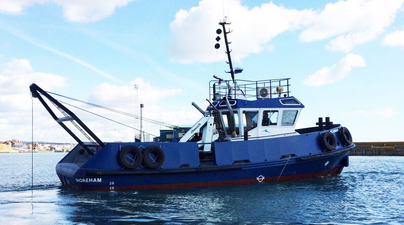 Port spot dolphins while completing newhaven seabed levelling