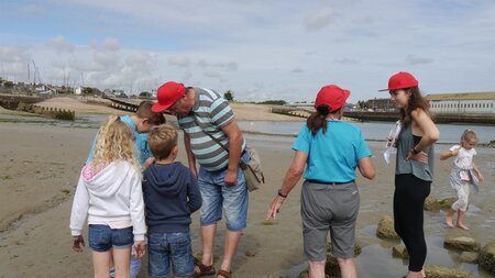 Port sponsor summer rock pooling programme