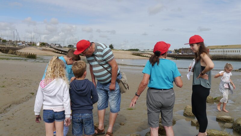 Port sponsor summer rock pooling programme