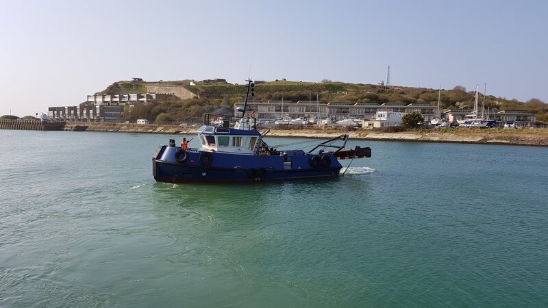 Port spot dolphins while completing newhaven seabed levelling