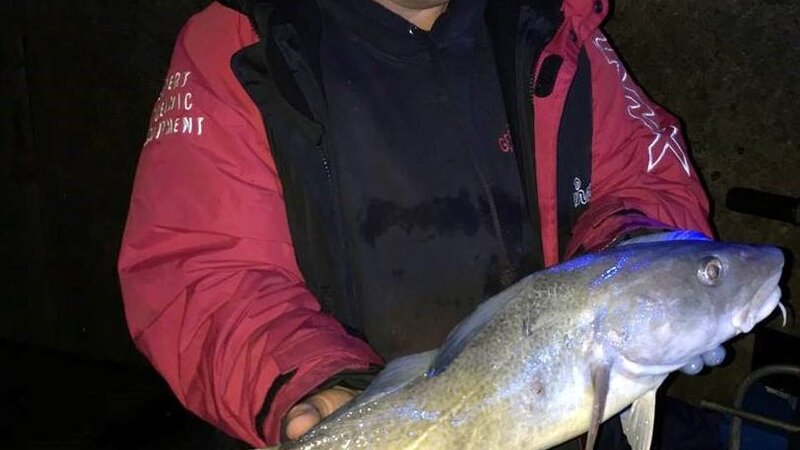 Ensuring navigational safety at night