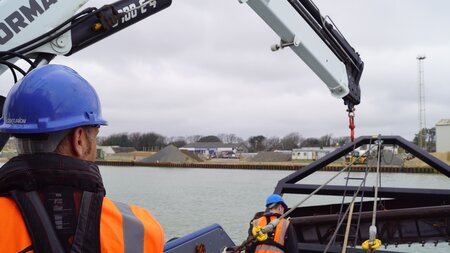 Port spot dolphins while completing newhaven seabed levelling