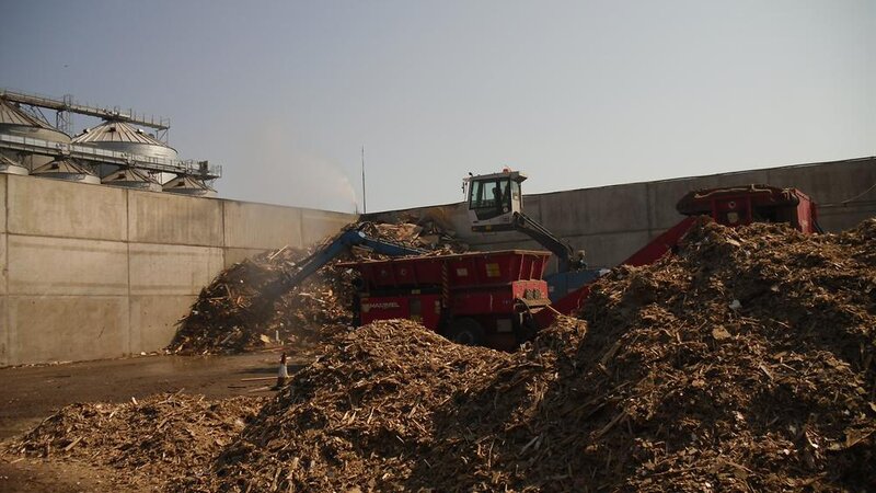 Exporting woodchip at Shoreham Port