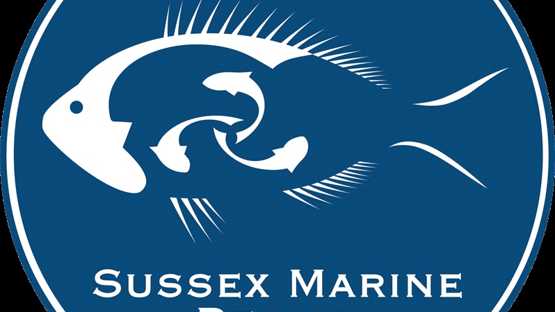 Angling trust return for another exciting summer of fishing