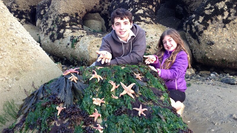Five star wildlife spotting at Shoreham Port