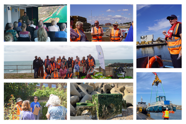 Sustainability Week 2026