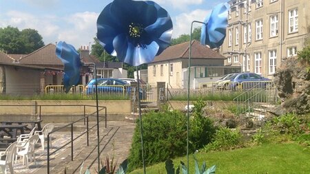 When elbow grease just won't cut it!