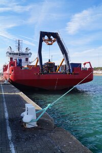 New vessels add variety to port