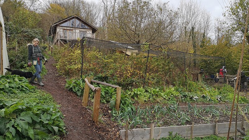 Shoreham Port flies the flag for biodiversity