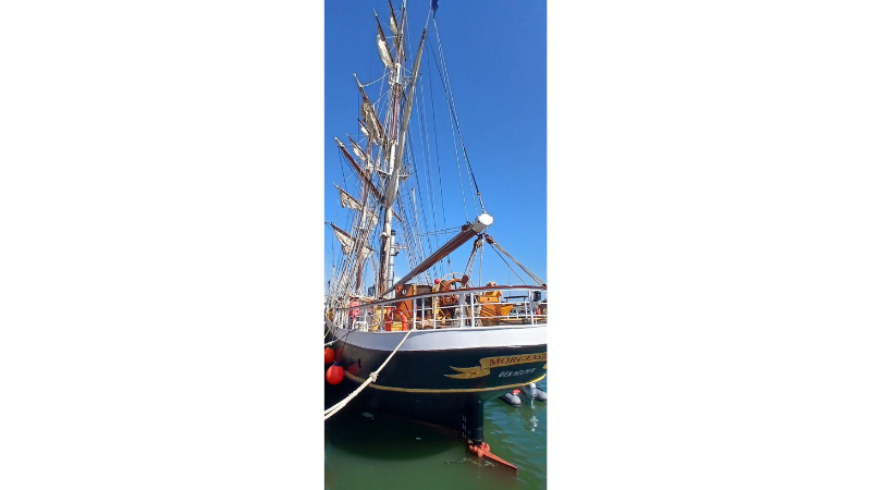 Serene seas charm passengers and crew as tall ship Morgenster sets sail from Shoreham
