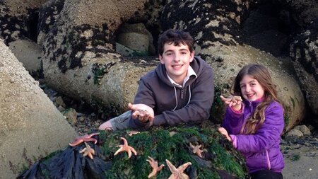 Five star wildlife spotting at Shoreham Port
