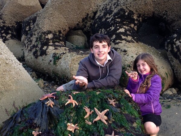 Five star wildlife spotting at Shoreham Port