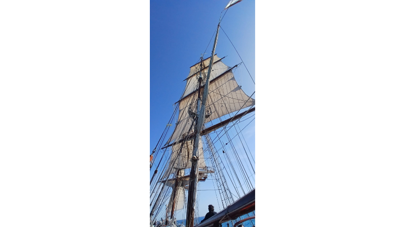 Serene seas charm passengers and crew as tall ship Morgenster sets sail from Shoreham