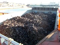 New and unusual cargo adds to port's growing portfolio