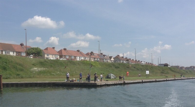 Angling trust return for another exciting summer of fishing