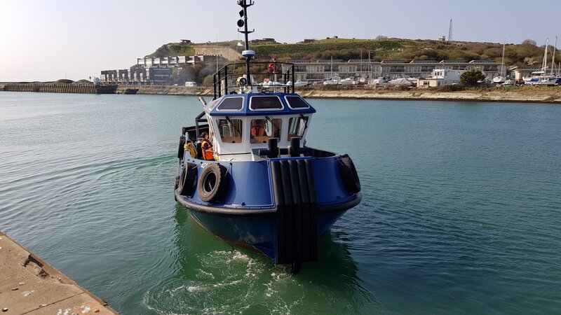 Port spot dolphins while completing newhaven seabed levelling