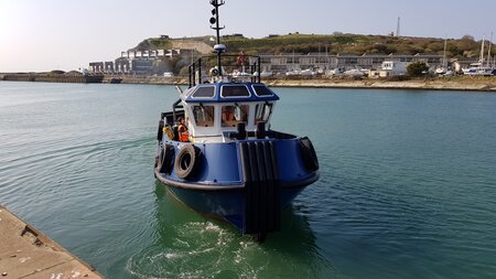 Port spot dolphins while completing newhaven seabed levelling