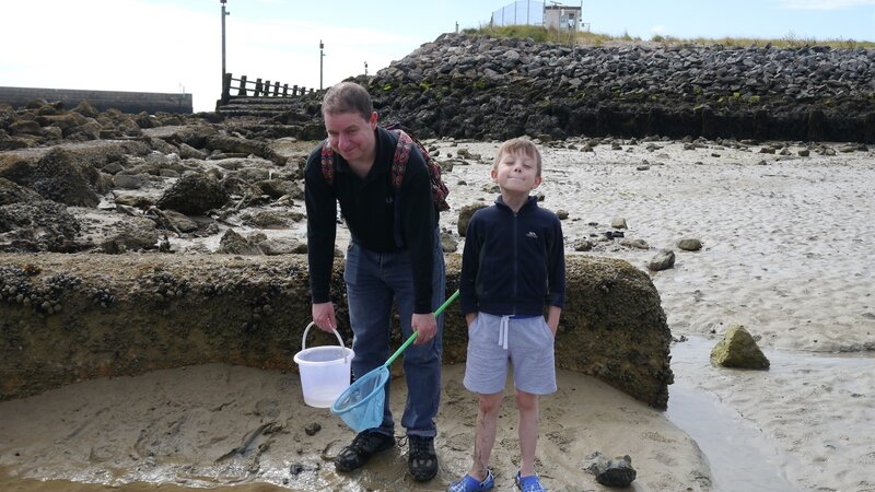Port sponsor summer rock pooling programme