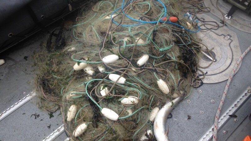 Warning to port users about illegal netting in adur estuary