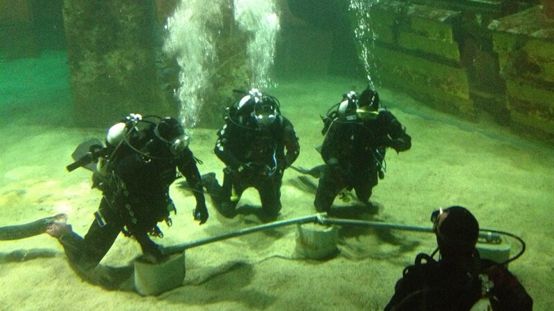 Electrician dives into new role