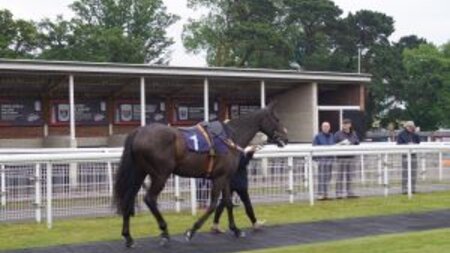 Shoreham Port customers enjoy annual raceday
