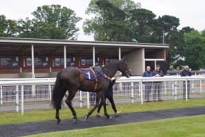 Shoreham Port customers enjoy annual raceday