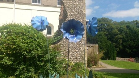 When elbow grease just won't cut it!