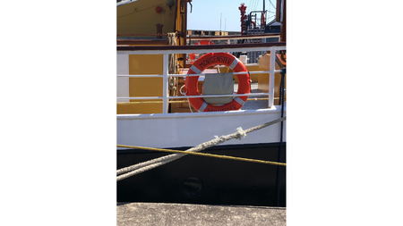 Serene seas charm passengers and crew as tall ship Morgenster sets sail from Shoreham