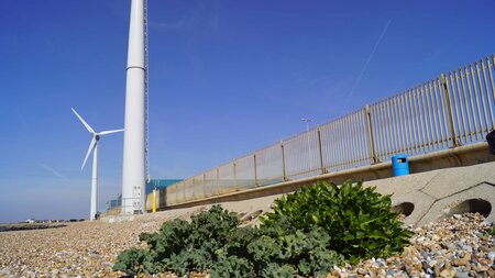 Shoreham Port launches new initiatives in celebration of world environment day