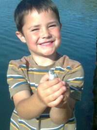 Angling trust release 2015 fishing dates at Shoreham Port