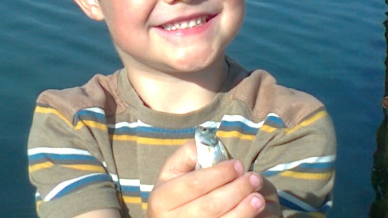 Angling trust release 2015 fishing dates at Shoreham Port
