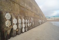 Shoreham Port launches UK’s largest living seawall at Southwick Reef