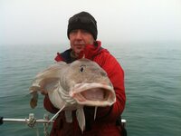 Shoreham Port attracts monster 40lbs cod