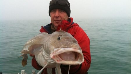Shoreham Port attracts monster 40lbs cod