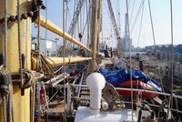 Port welcomes pelican of london to dry dock