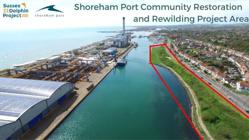 Shoreham Port & Sussex Dolphin Project Rewilding Area