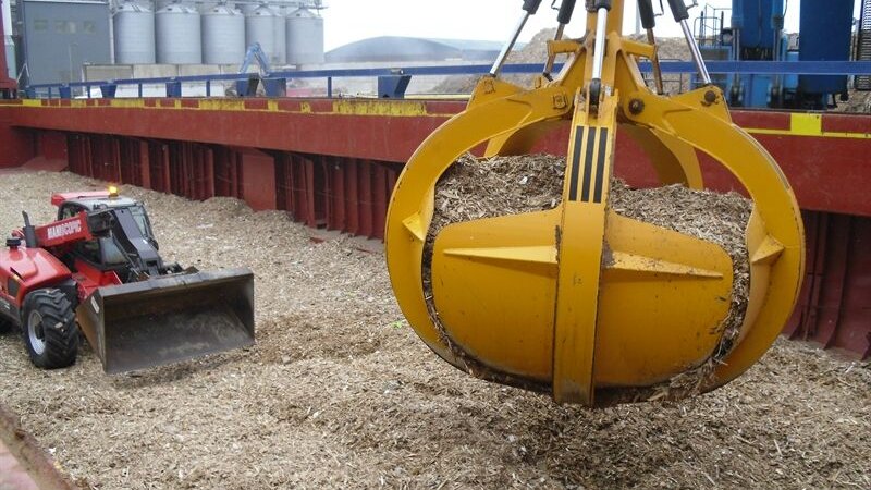 Shoreham Port investing further to handle woodchip