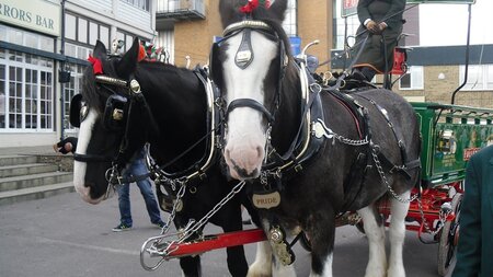 Excitement at the races: port staff reflect on another successful customer day