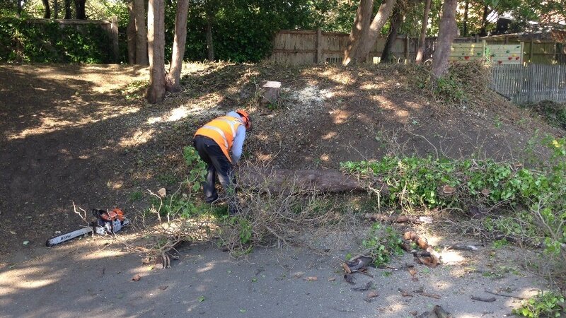 All hands on deck: port engineers build creative outdoor classroom