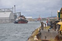 Historic masterpiece inspires nostalgic walk around port