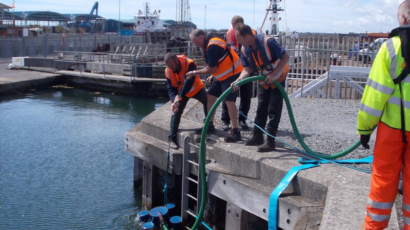 Supporting learning and development