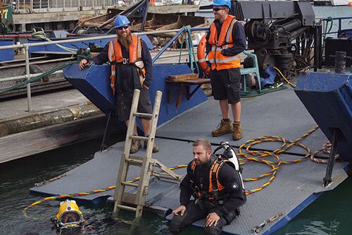 The dive team. One person is in the water with a yellow mask, another in dive equipment sits with their legs in the water. The other two men stand behind wearing high vis jackets. 