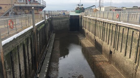 Engineering team perform mass bass rescue