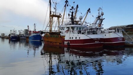 Port welcome sustainable online fishmonger to tenant community