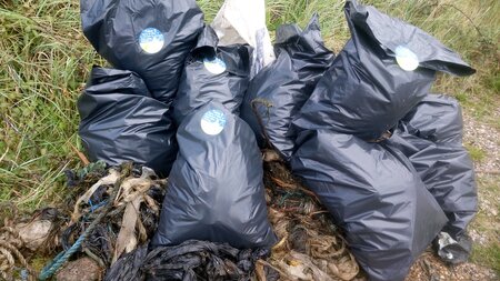Local volunteers take part in 'harbour clean up'