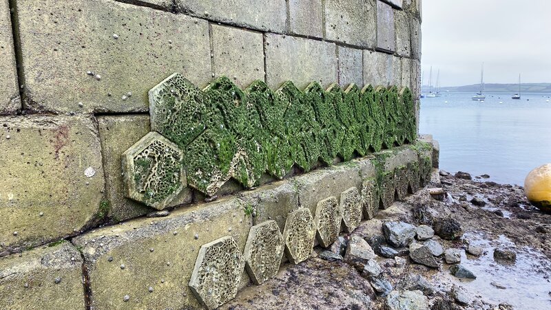 Falmouth 2
